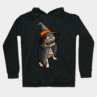 Pug in Witch Costume Hoodie